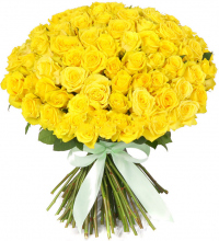 Розы Россия желтые
