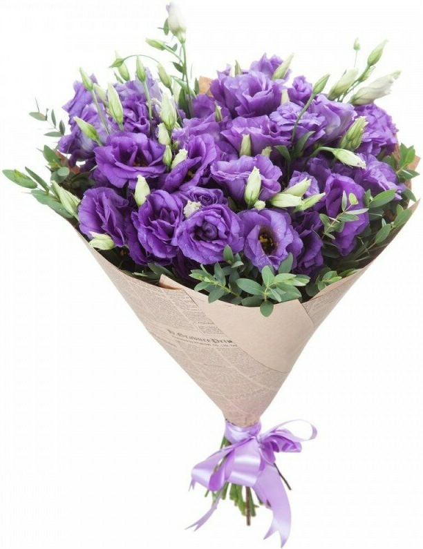 Фиолетовая эустома